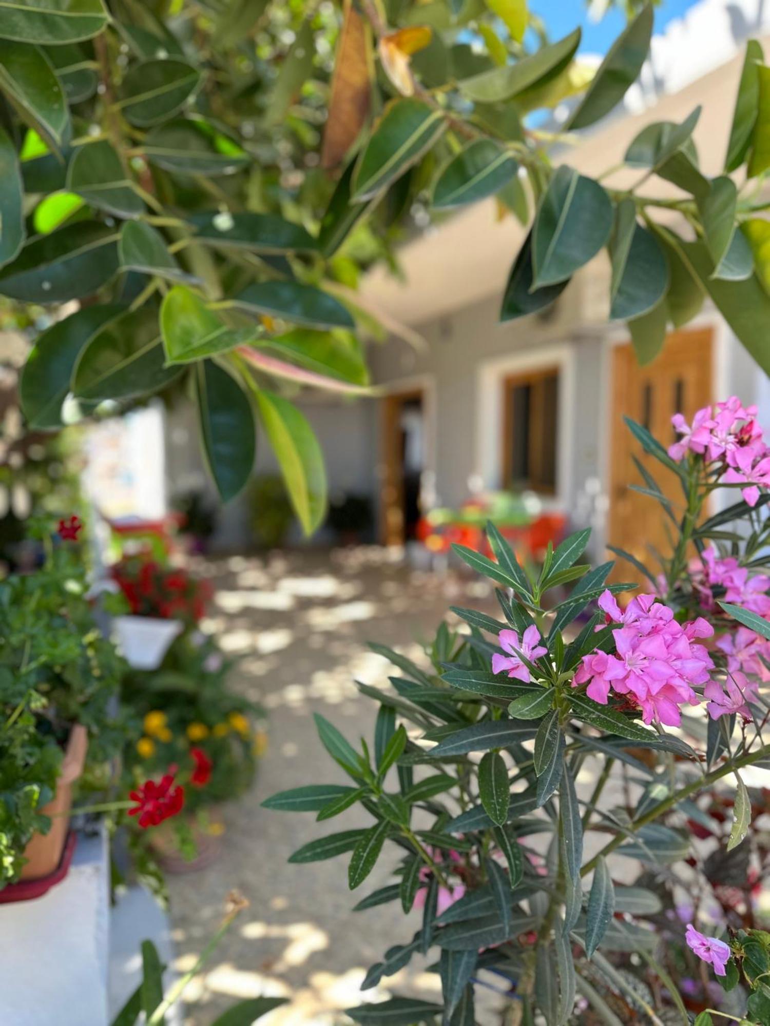 Albi'S Guesthouse Ksamil Exterior foto