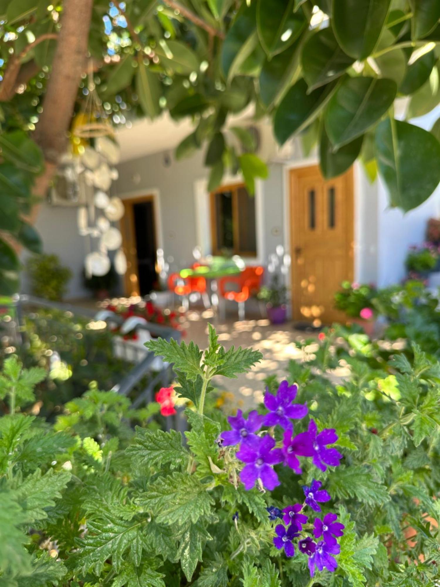 Albi'S Guesthouse Ksamil Exterior foto
